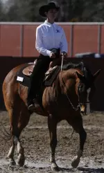 Senior Madison Silver and the Dogs will spend the next couple of weeks preparing for the Varsity Equestrian National Championships.