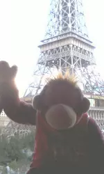 Crazy Monkey and junior Rosie Moult headed to Texas and Las Vegas for their final non-conference road trip of the season.