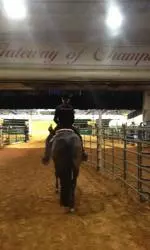 Lauren Crivelli finished in the top four at the inaugural Collegiate Horsemanship Challenge.