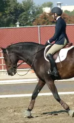 Senior Kimberly HewsonBudnik will return for her second trip to the Collegiate Equitation Challenge.