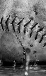 This is the fifth time this season that one of the Bulldog baseball team's contests has been postponed to a new date or canceled.