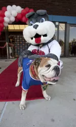 Fresno State is entering its 14th year as a part of the CBS Interactive network.
