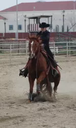 Lauren Crivelli and the Bulldogs are ranked ninth in the preseason NCEA coaches' poll.
