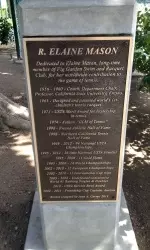 Part of the sculpture that will be dedicated to Elaine Mason at Fig Garden Swim and Raquet Club
