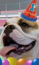 Join us for Victor E. II's first birthday party on Saturday!
