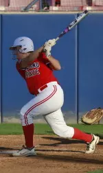 Junior Taylor Green connected on her second pinch-hit double in as many games in the seventh inning Sunday.