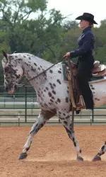 Junior Taylor Brown defeated both of her opponents in two events Saturday.