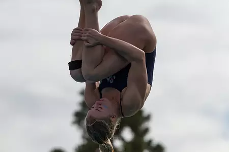 Nikolaeva