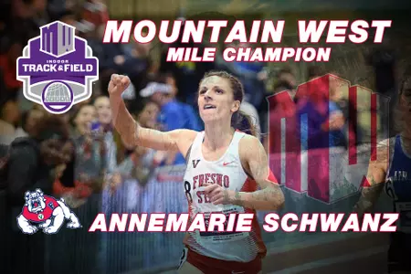 schwanz_mw_mile