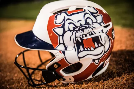 Softball announces 2017 summer camps Image