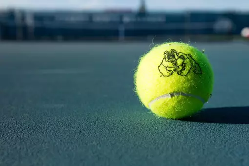 tennis ball