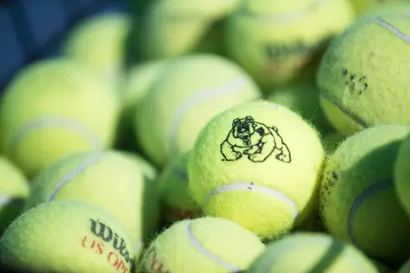 generic tennis balls