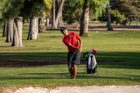 Alex Lee chip bunker