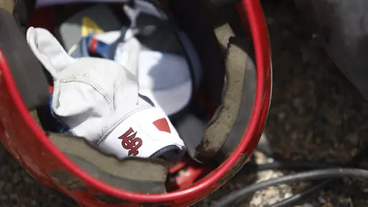 FS BSB Batting Glove