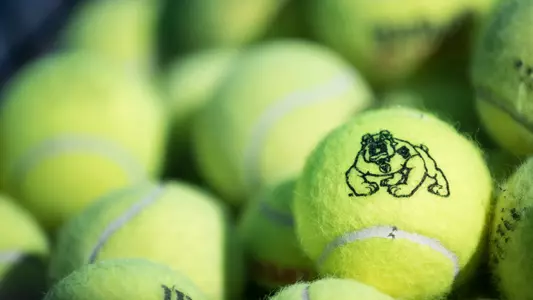 basic tennis balls