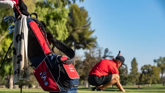 Bag - Huff placement