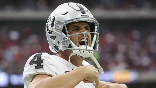 NFL: Oakland Raiders at Houston Texans