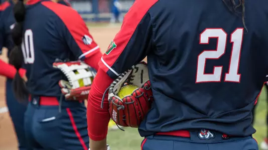 softball stock picture