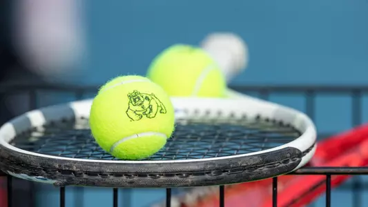 Tennis ball with Bulldog Logo on racquet