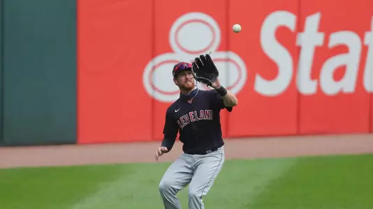 MLB: Cleveland Indians at Chicago White Sox