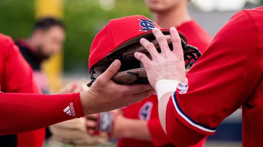 Glove/Hat