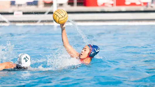 Cynthia Rosa vs. Hawaii
