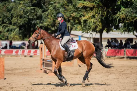 Olivia Ferro, Fresno State Equestrian