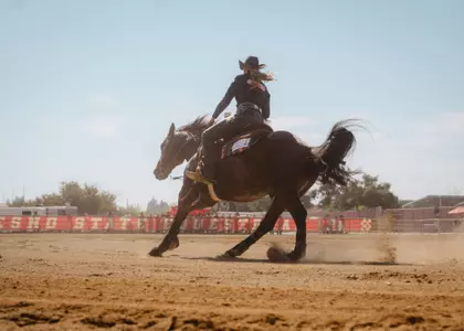 Fresno State Reining at the Student Horse Center