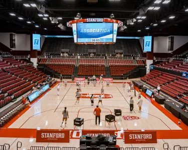 Maples arena