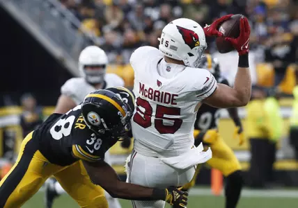 NFL: Arizona Cardinals at Pittsburgh Steelers