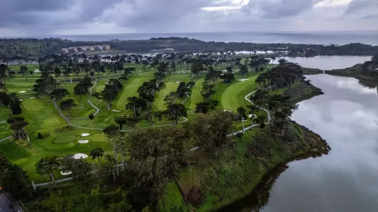 tpc harding park