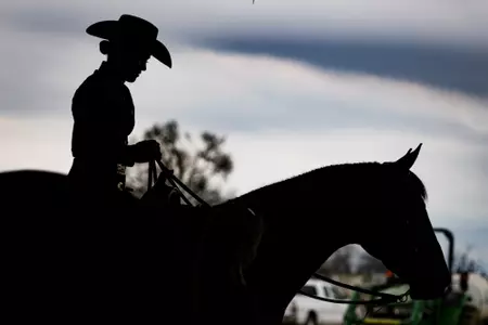 Fresno State Equestrian rider