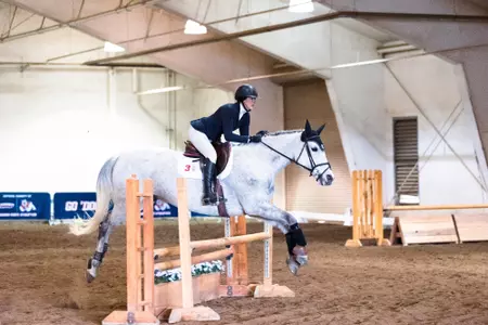 Ana Bertozzi, fences