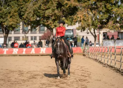 Alex Krebs, horsemanship