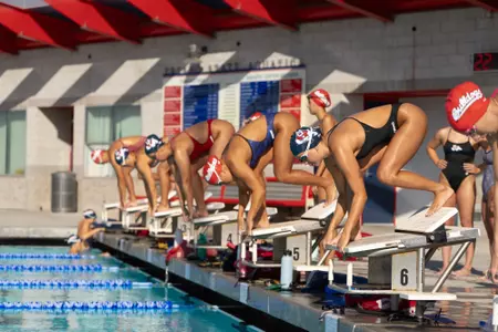swim dive