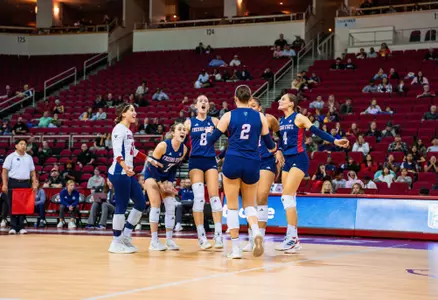 Volleyball team celebration