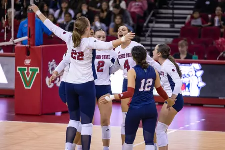 Volleyball Celebration