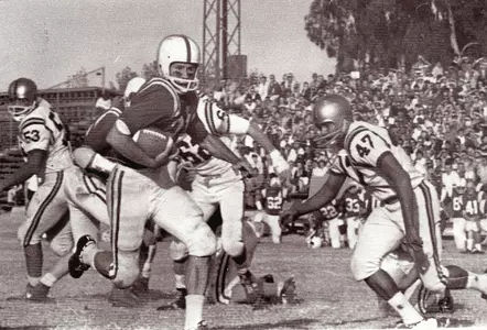 Dale Messer