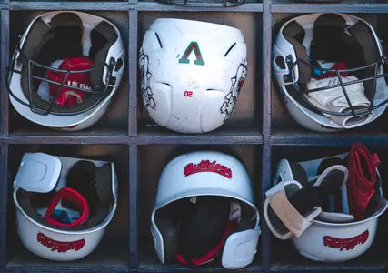 Softball helmets