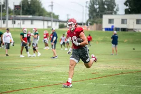 Tight Ends