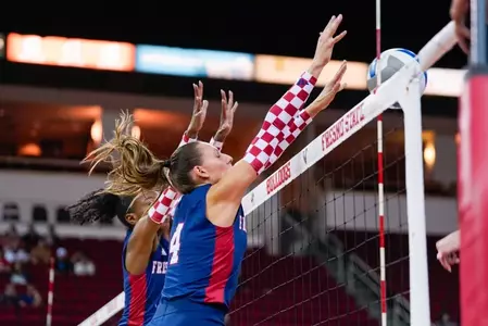 addison haluska block