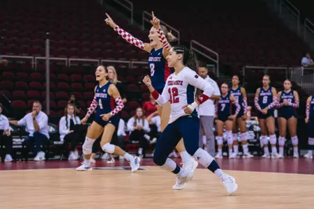 Volleyball Celebration