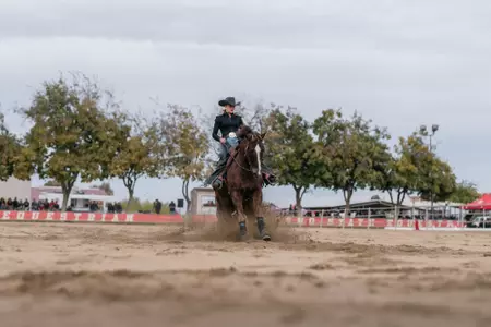 Brogan Hill - Reining