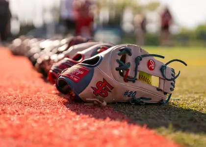 Softball Gloves