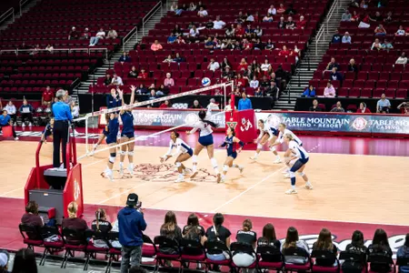 Lalelei Hall kill