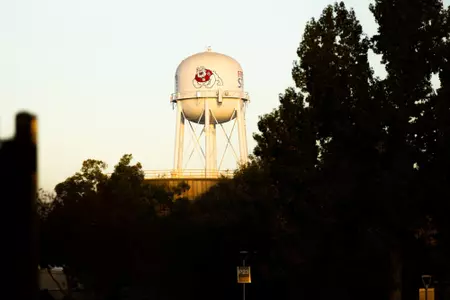 Fresno State water tower Bulldog