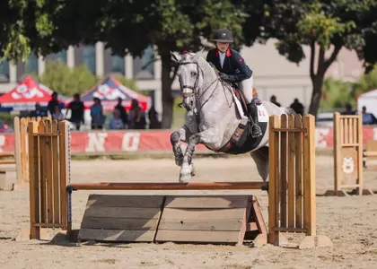 Isabella Bertozzi, fences