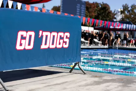 Go Dogs swim banner