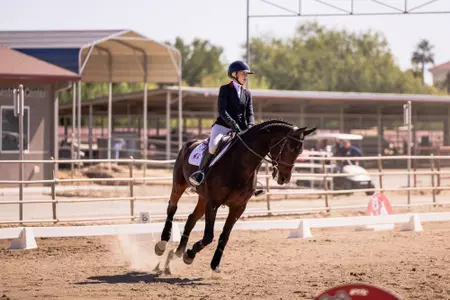 Sage Lindvall - Flat