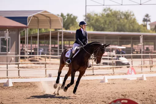 Sage Lindvall - Flat